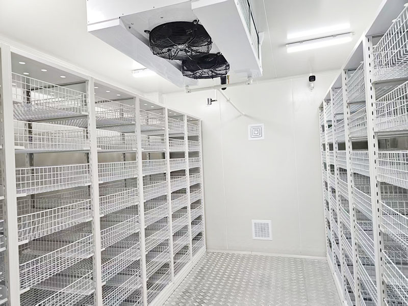 ˫ʮ������