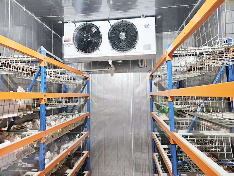 ˫ʮ������