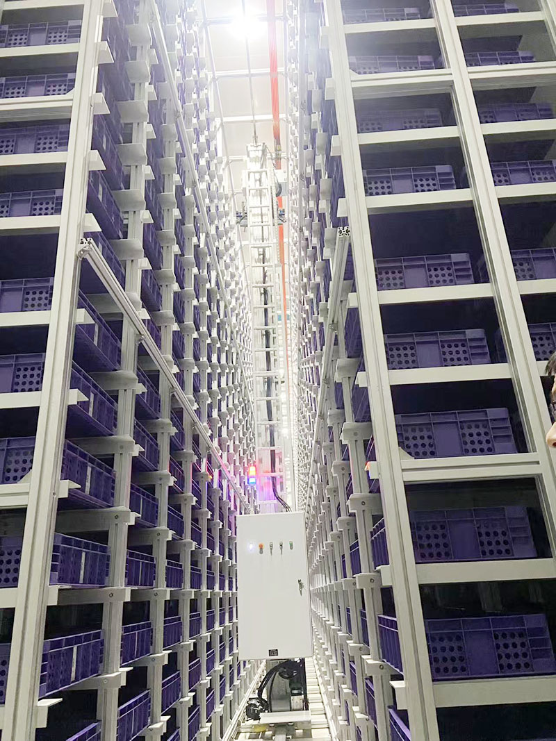 �Ѷ��ʽ������